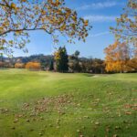 Photo petite plus size